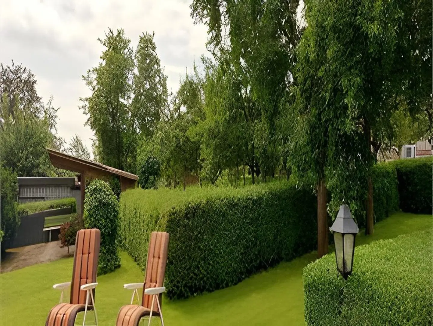 Traube Garten