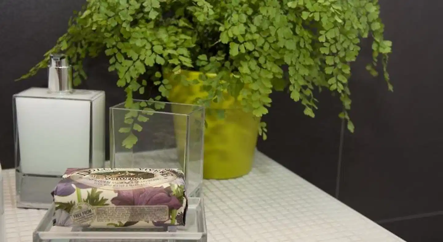 Center 2 Rooms Wellness