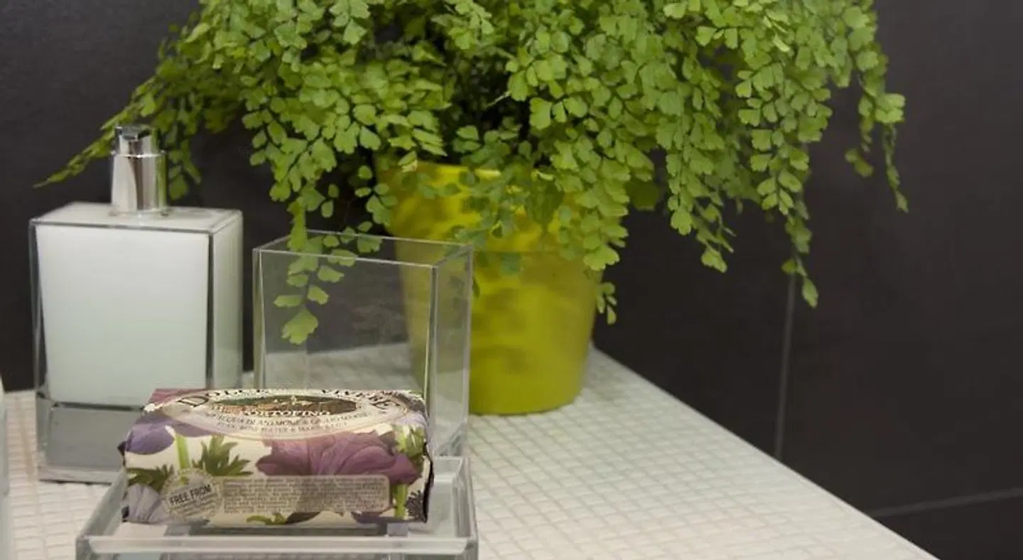 Center 2 Rooms HEALTH_BEAUTY