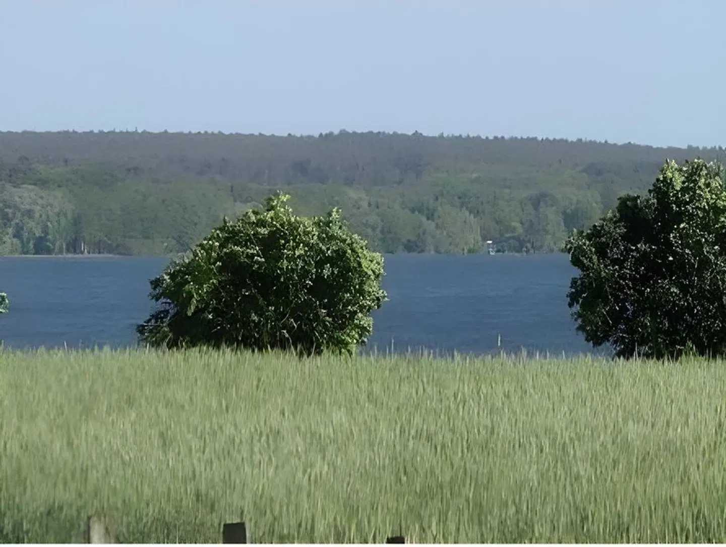Marianne LANDSCAPE