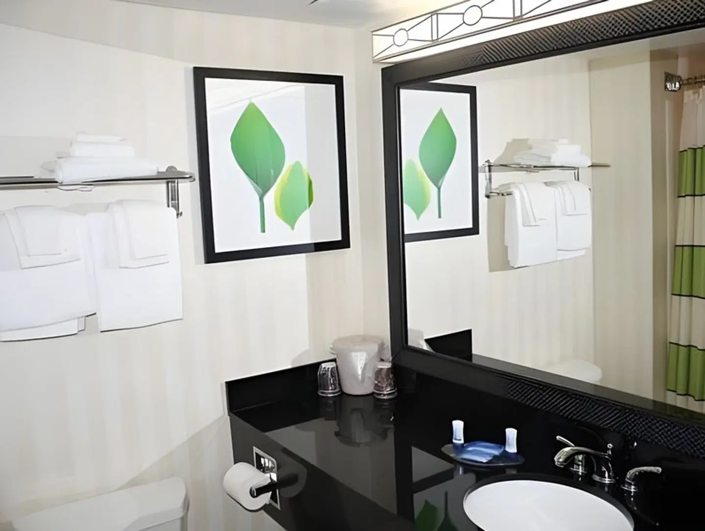 Fairfield by Marriott Inn & Suites Asheville Outlets Badezimmer