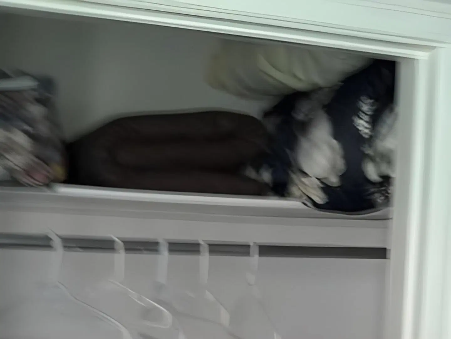 Exploits Hostel ROOM_EXAMPLE