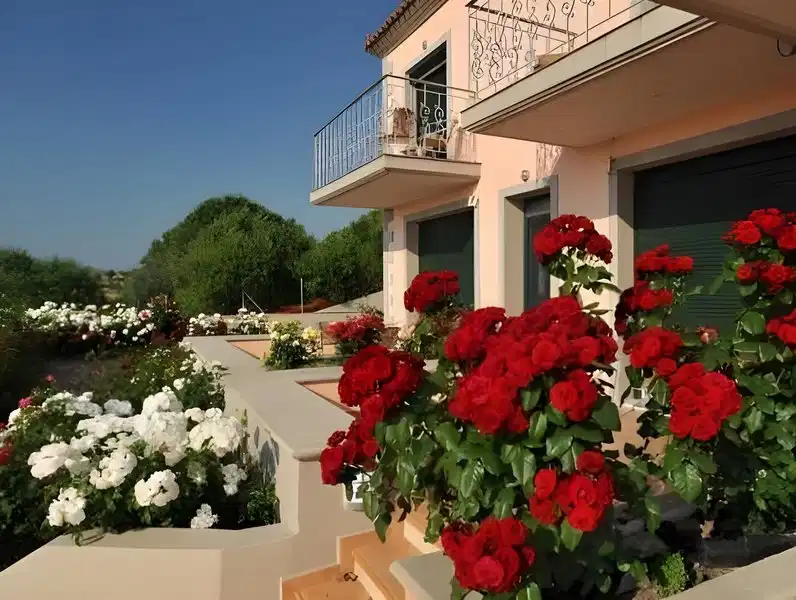 Amigdalies – Hotelfoto
