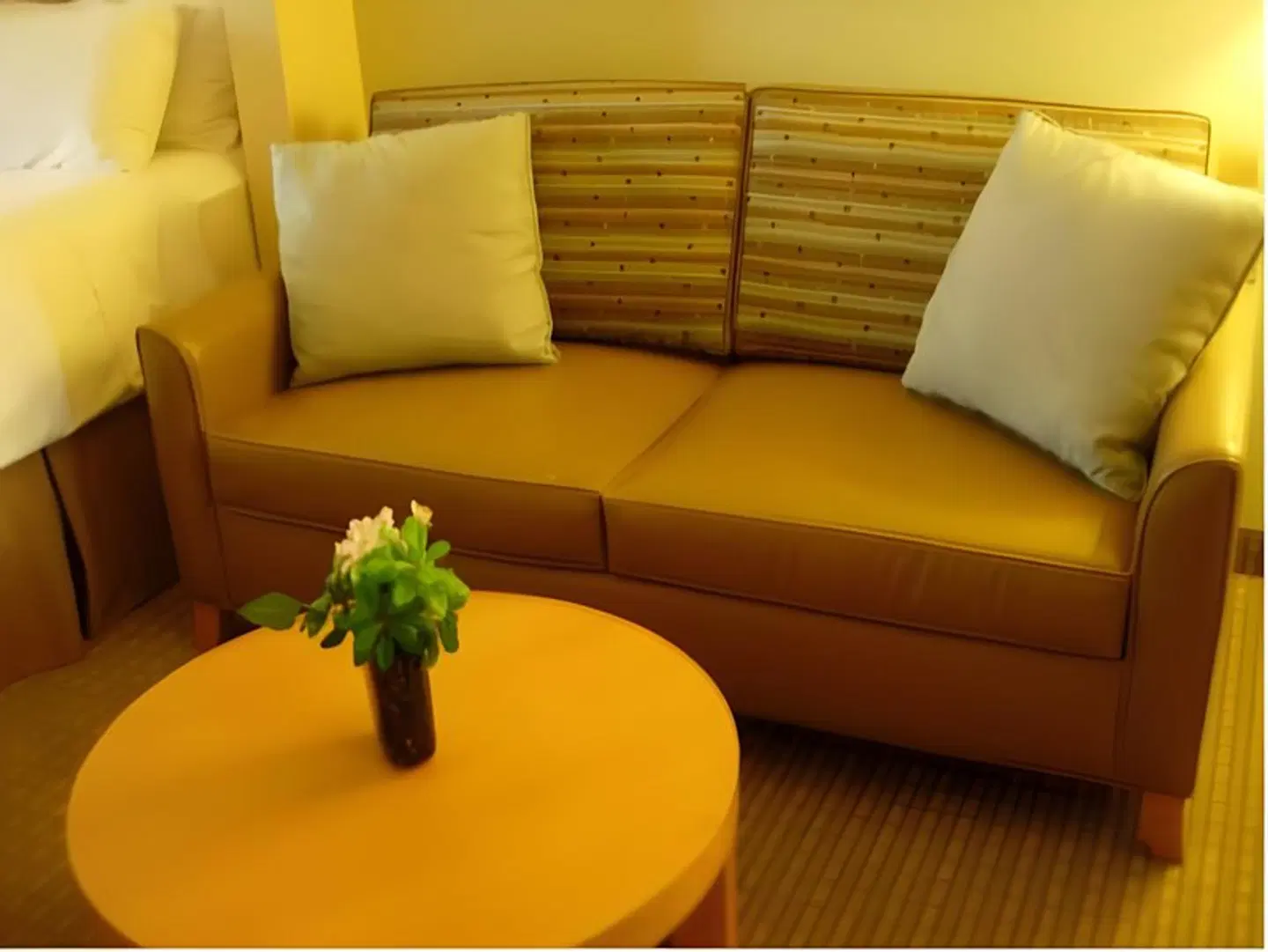 Holiday Inn Express & Suites Santa Clara - Silicon Valley by IHG ROOM_EXAMPLE