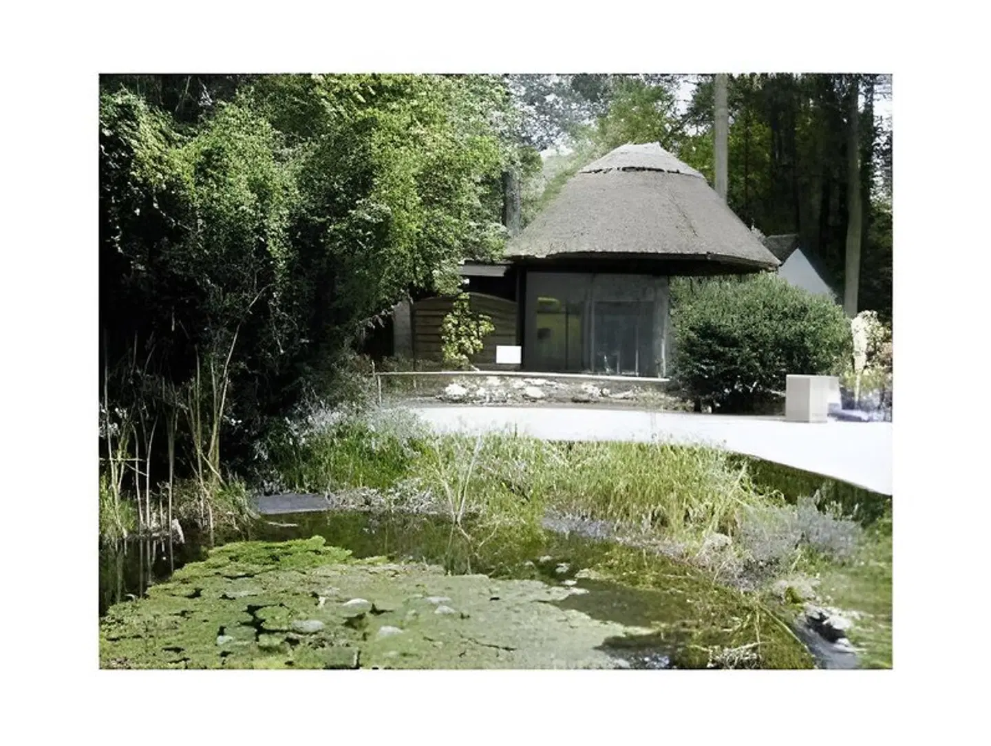 Spitzenhoernbucht Garten