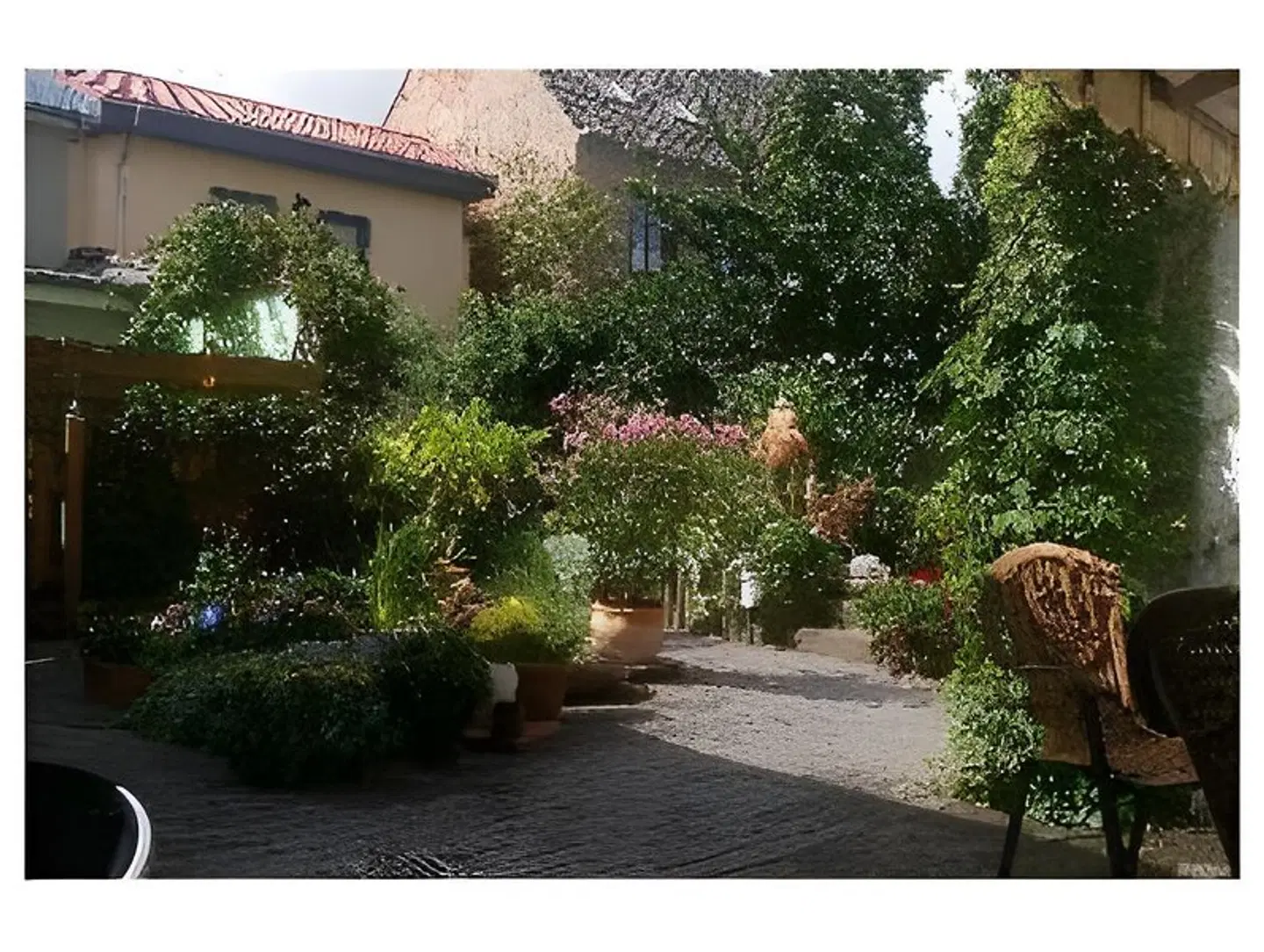 Spitzenhoernbucht Garten