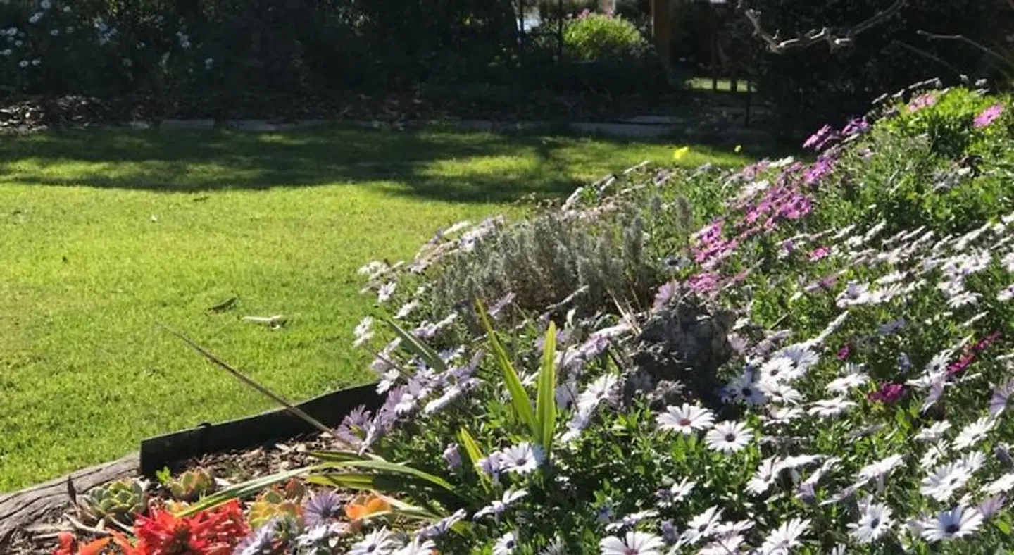 Yellow Gum Bed and Breakfast LANDSCAPE