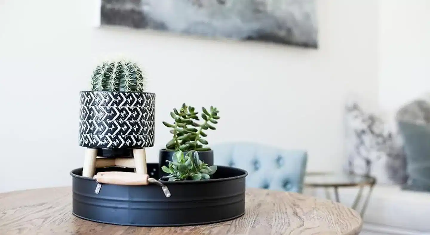 Old Market Inn Lobby