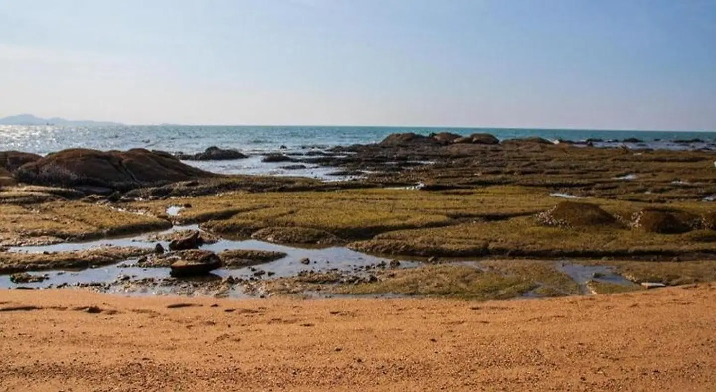 M Place Pattaya LANDSCAPE