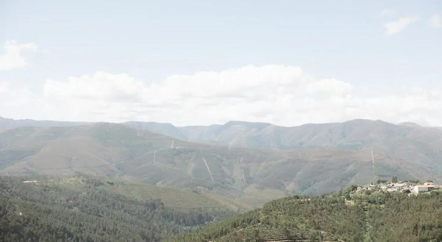 Quinta da Malhada LANDSCAPE