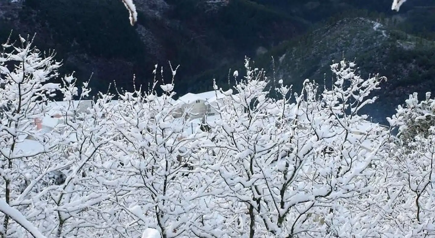 Casas do Soito Tiere