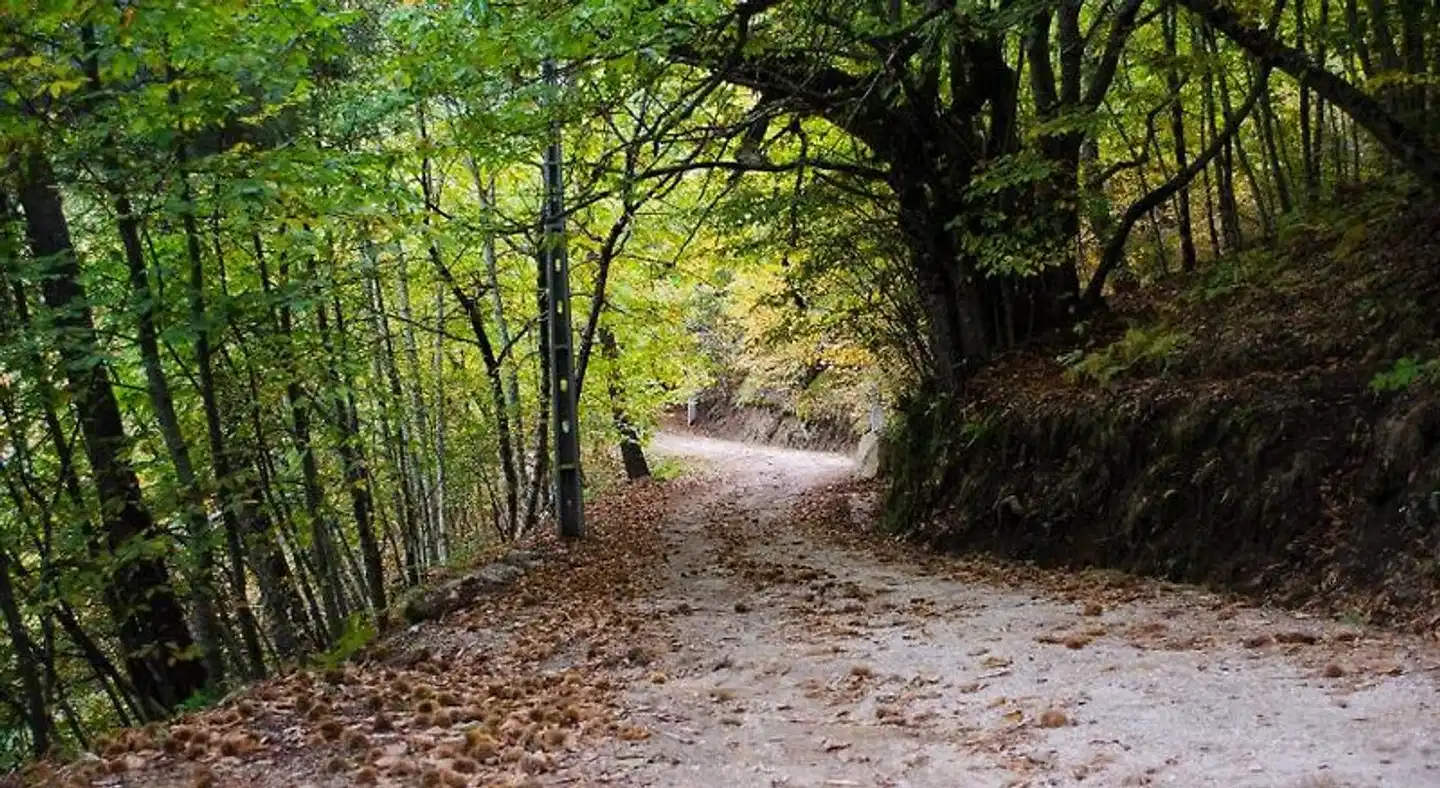 Casas do Soito Garten