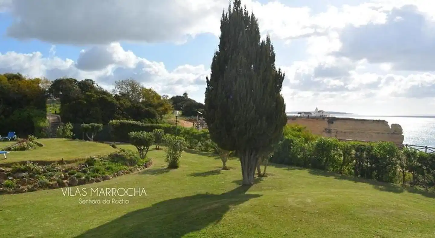 Vilas Marrocha Tiere