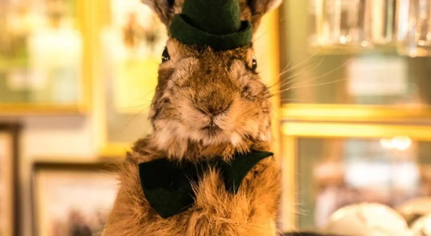 The Mews Hotel Tiere