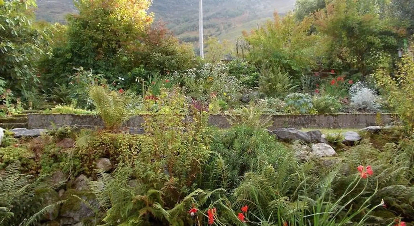 Tigh na Cheo LANDSCAPE