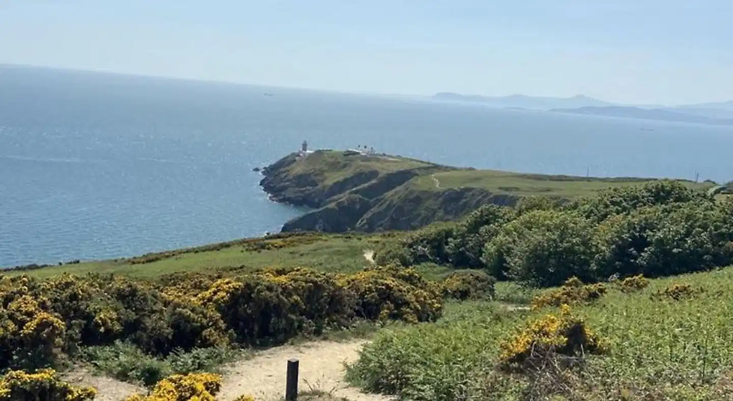 The Artist Residence Dublin Landschaft