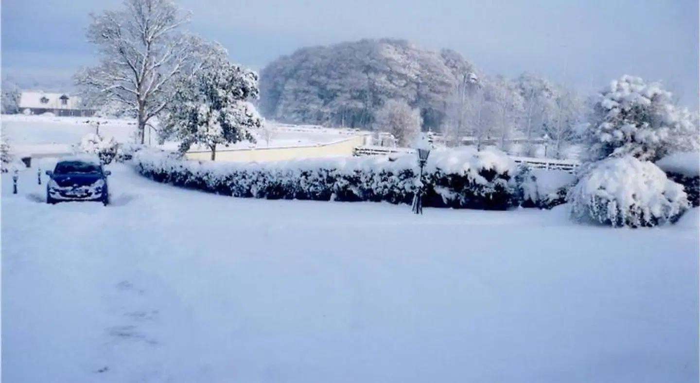 Armcashel B&B LANDSCAPE