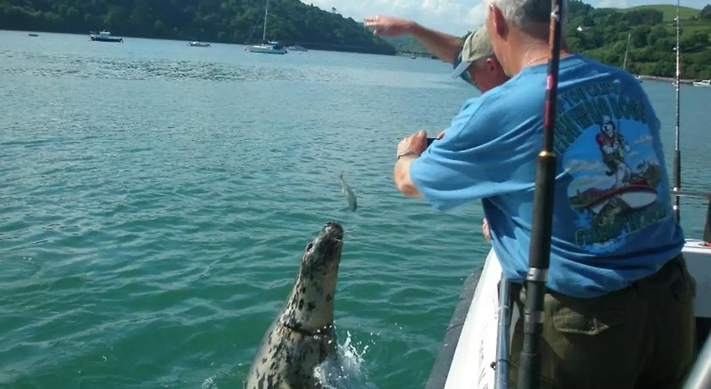 Shearwater Country House B&B Personen