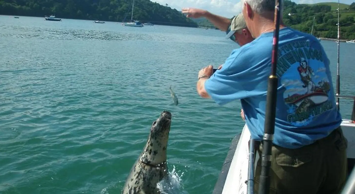 Shearwater Country House B&B PEOPLE