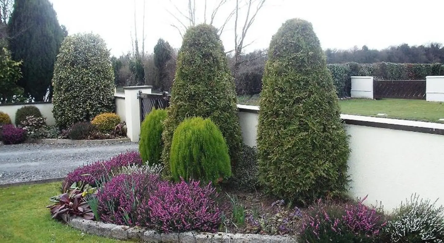 Maryville Bed and Breakfast Garten