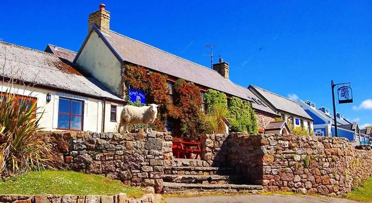 King's Head Inn Tiere