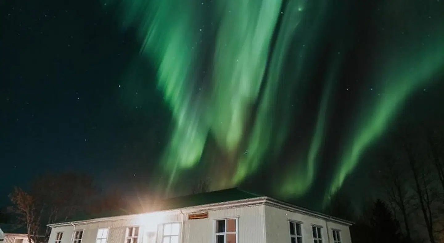 Bjork Guesthouse EXTERIOR