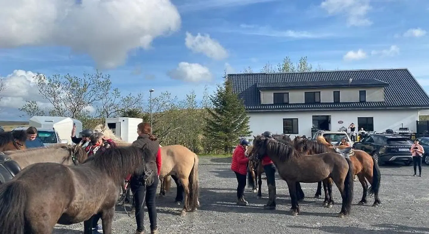 Guesthouse Bitra B&B Tiere