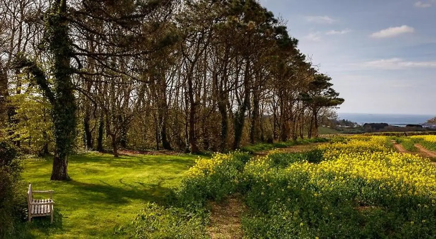 Bucklawren Farm LANDSCAPE