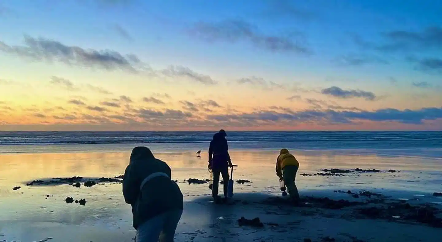 Lighthouse Oceanfront Resort Strand