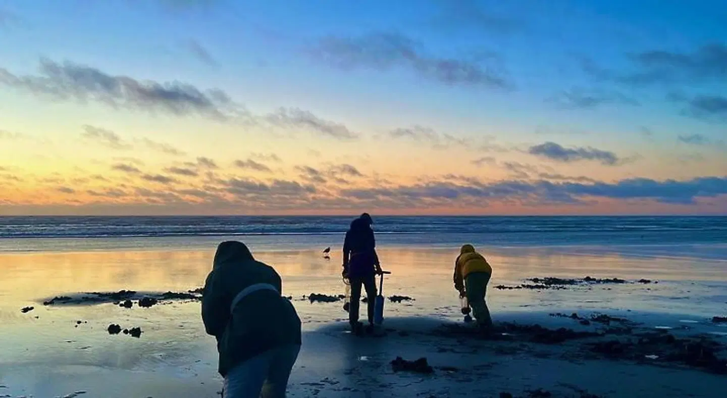 Lighthouse Oceanfront Resort Strand