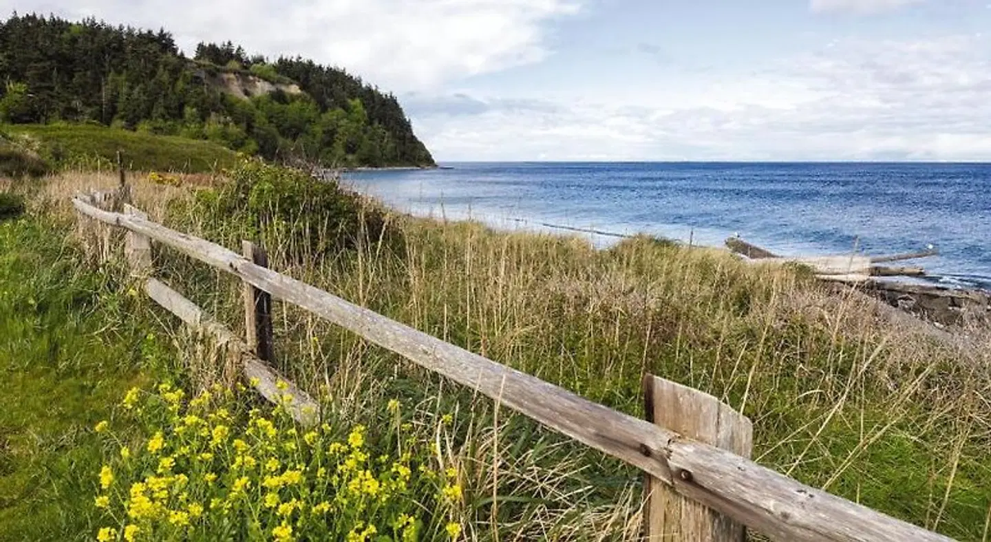 WorldMark Discovery Bay Landschaft