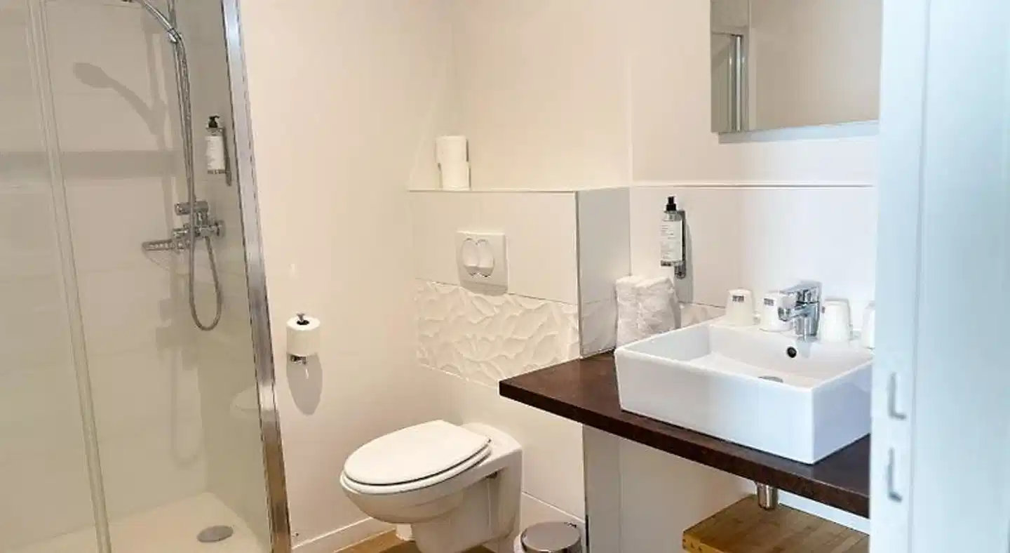 La Maison dEugène AppartHôtel - Centre historique Badezimmer