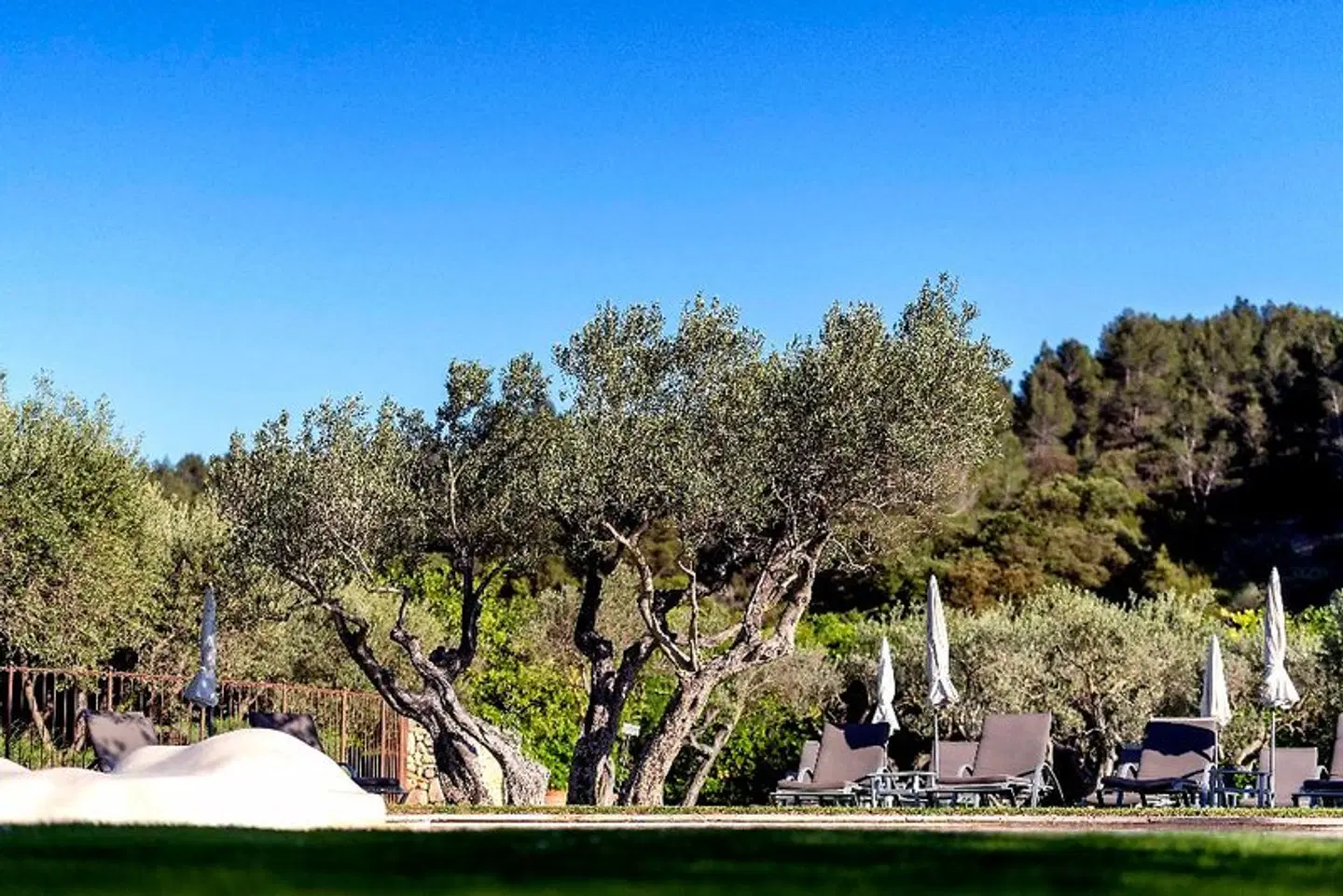 Mas de l'Oulivie LANDSCAPE