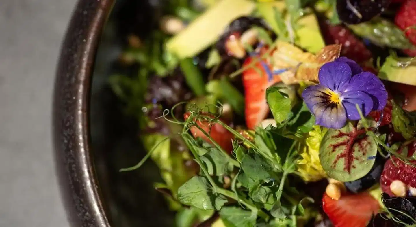 Aston Hotel Riga Tiere