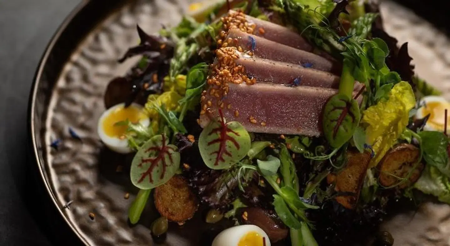 Aston Hotel Riga Tiere