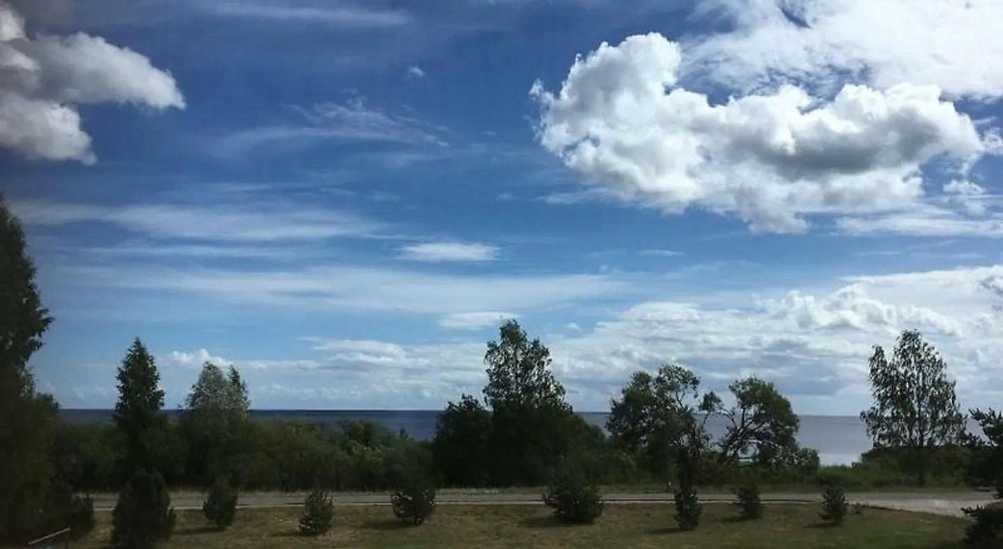 Mustvee Kortermajutus LANDSCAPE
