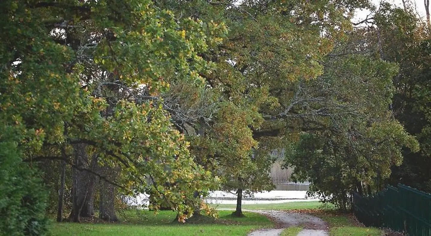 Eistvere Manor Accommodation Garten
