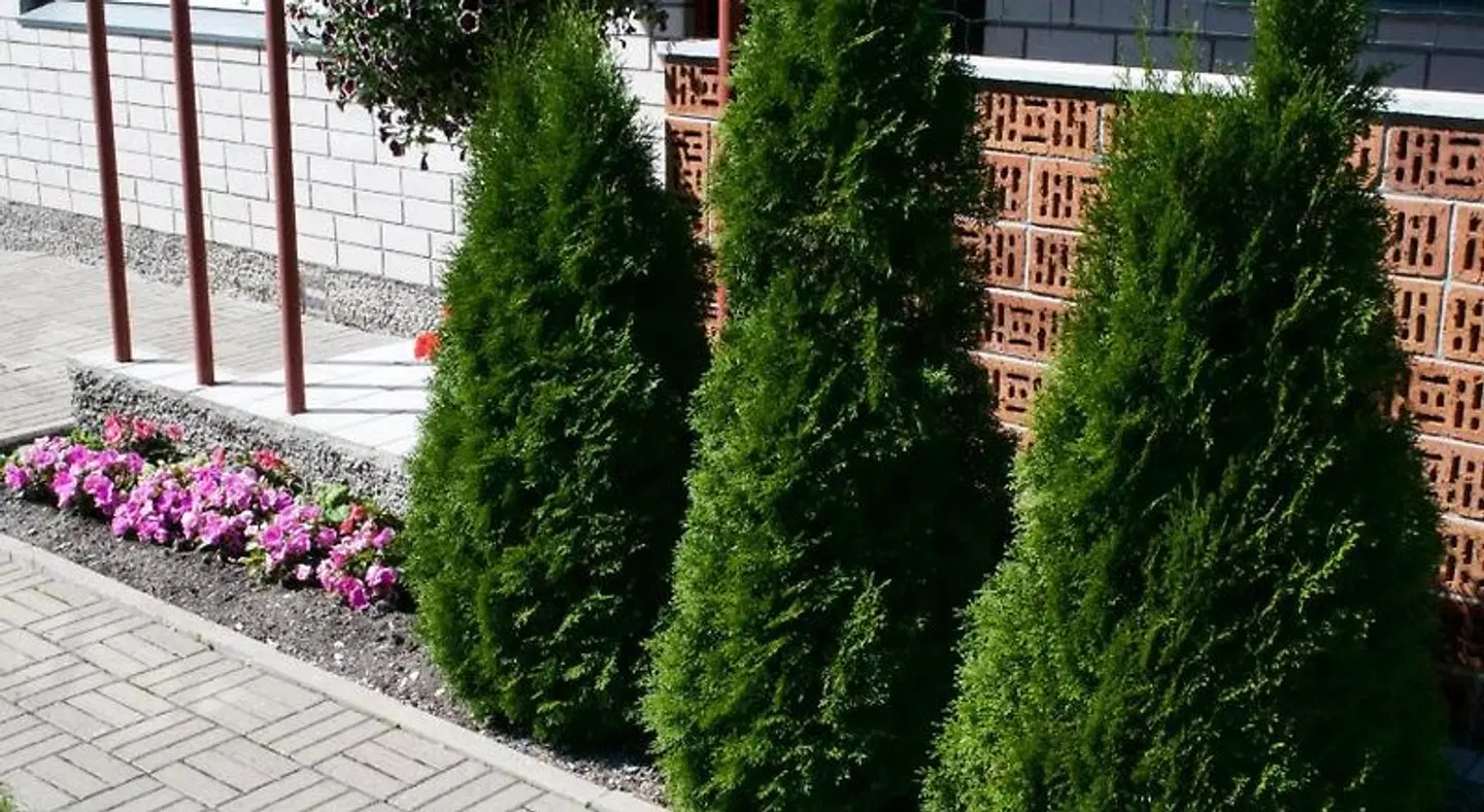 Nooruse Majutus EXTERIOR