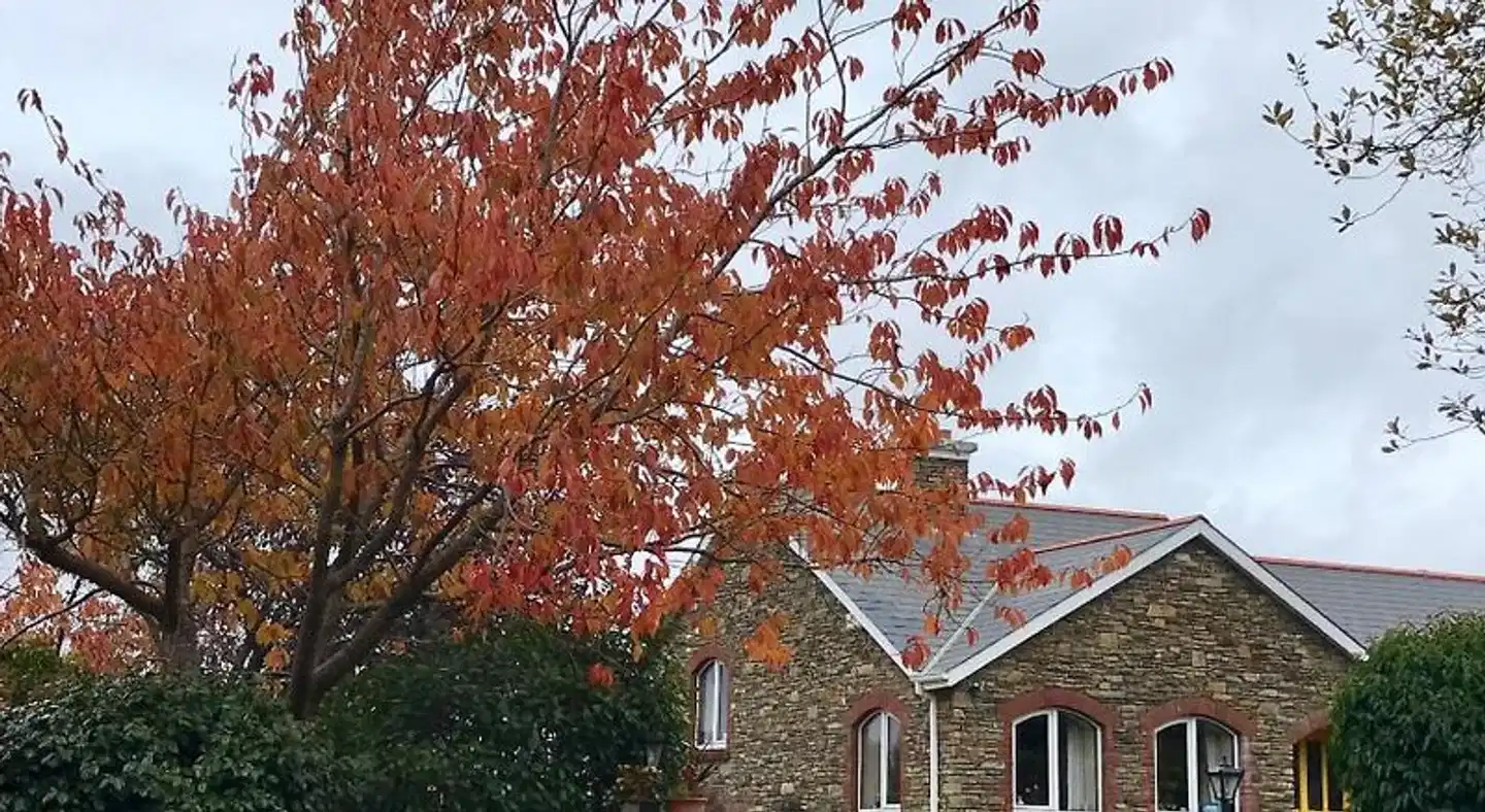 Niblick Aussenansicht