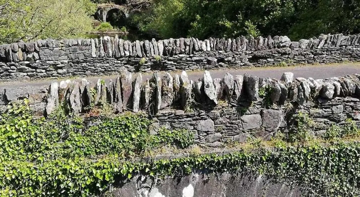 The Black Sheep Garten