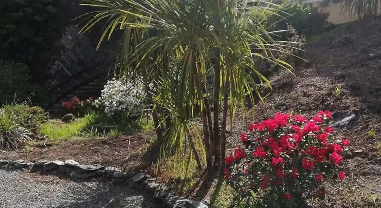 The Black Sheep Garten