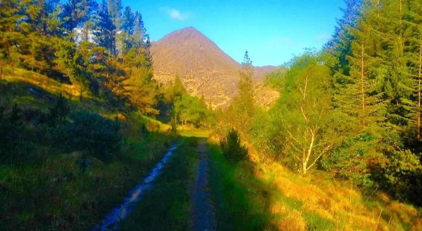 Rugged Glen Accommodation LANDSCAPE