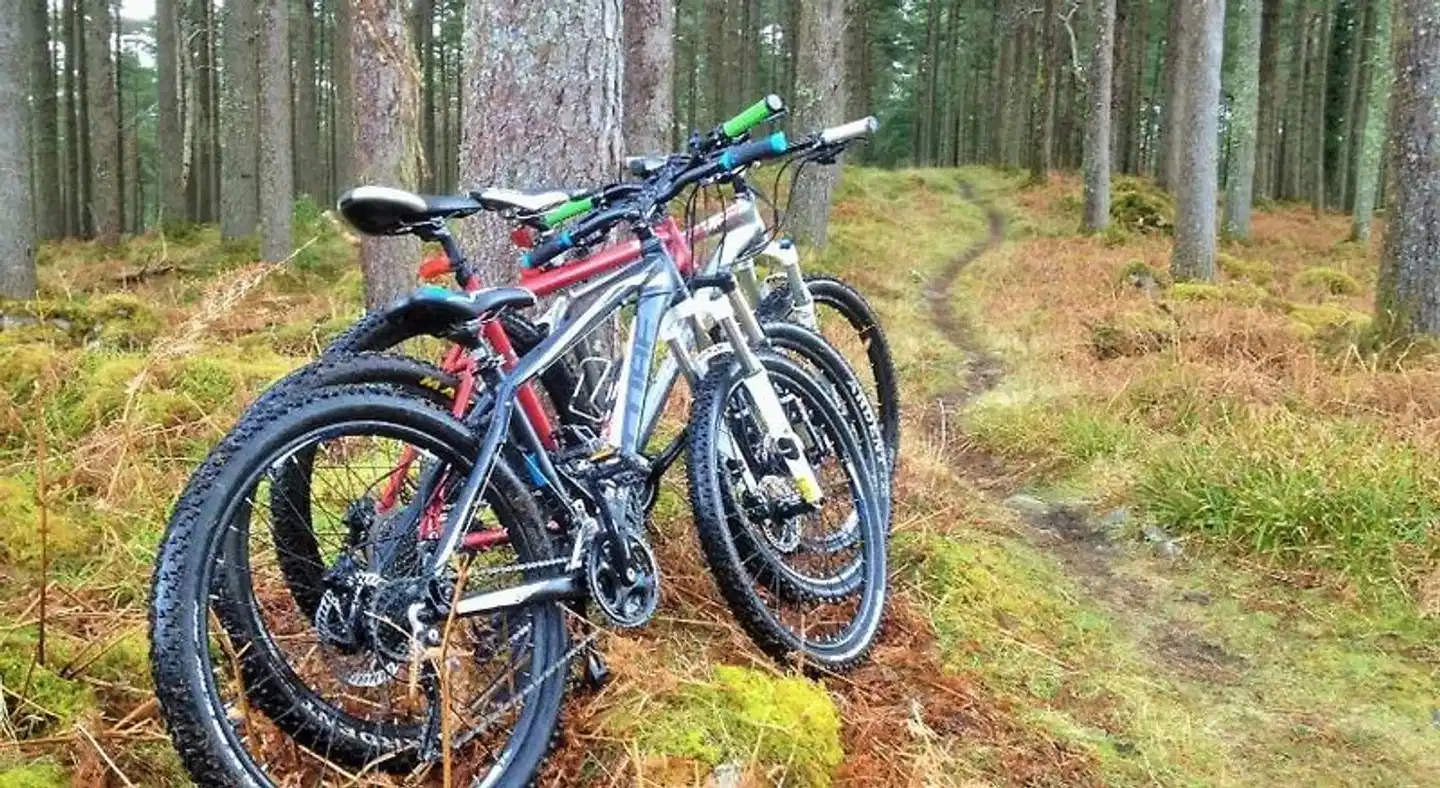 Rugged Glen Accommodation Sport und Entertainment