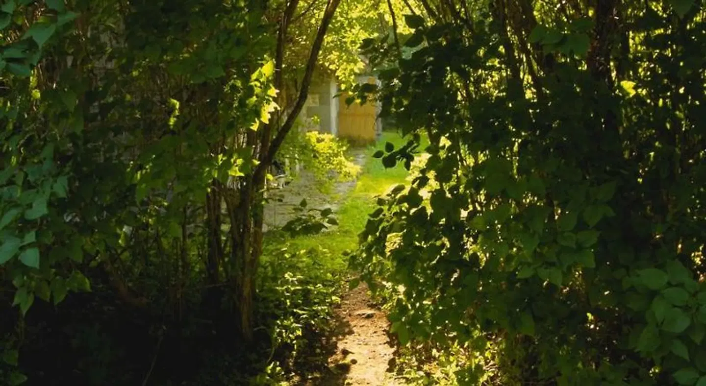 Metsara B & B Garten