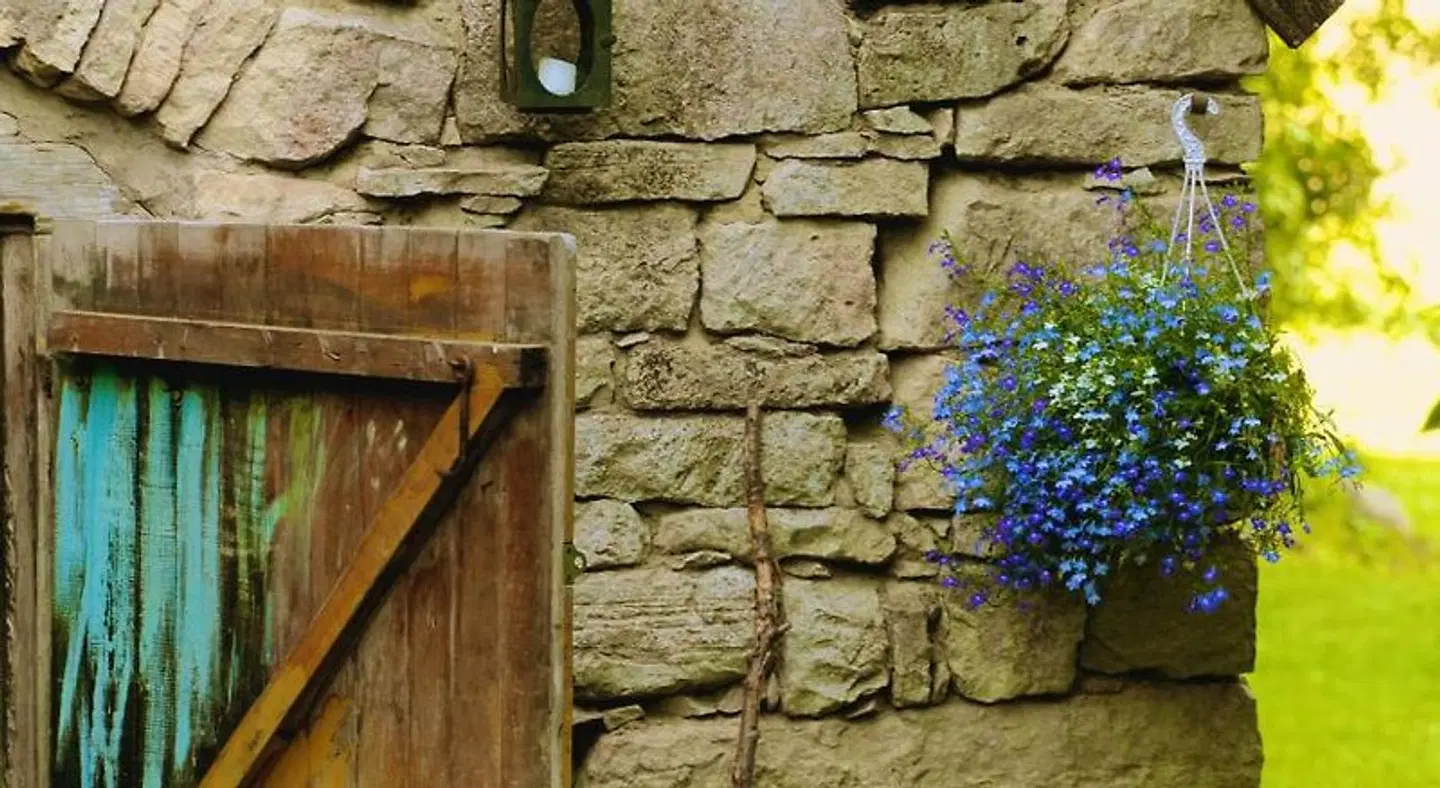 Metsara B & B Tiere