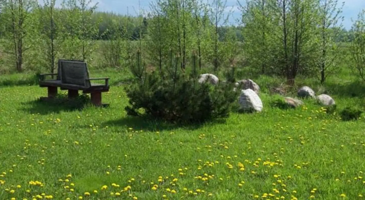 Põnka Guesthouse Tiere
