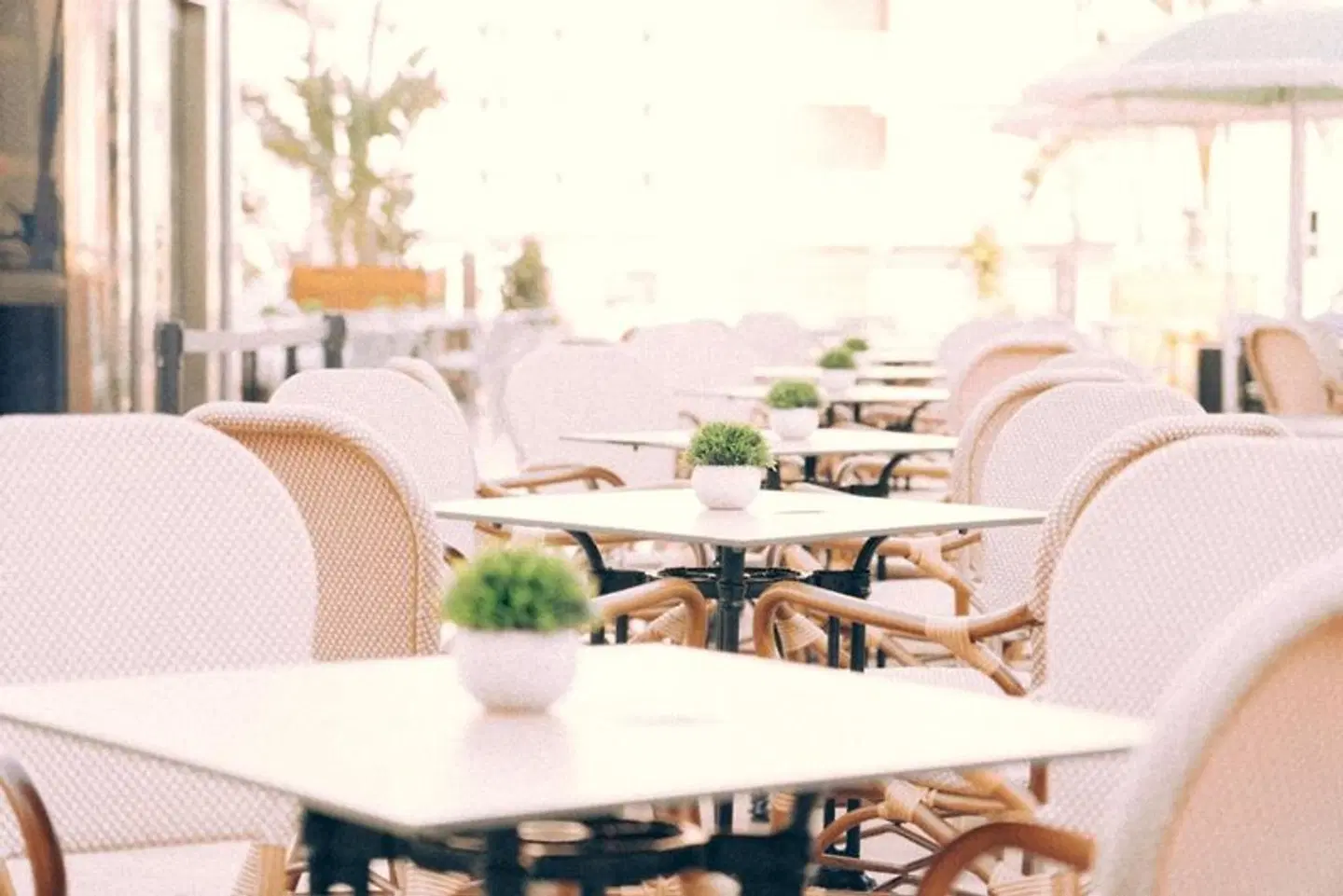 Marina Terrasse