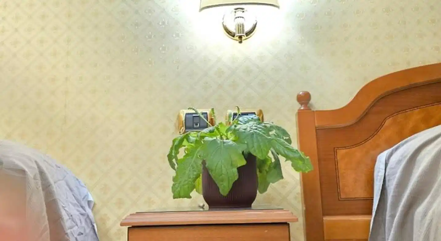 Hotel Amadeus Lobby