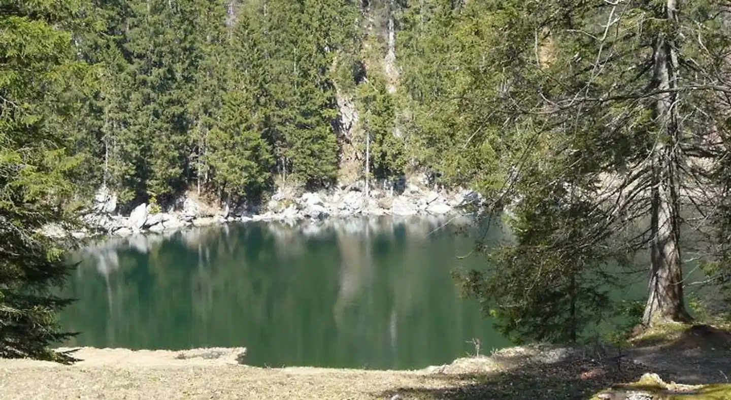 Hüttwirt Landschaft