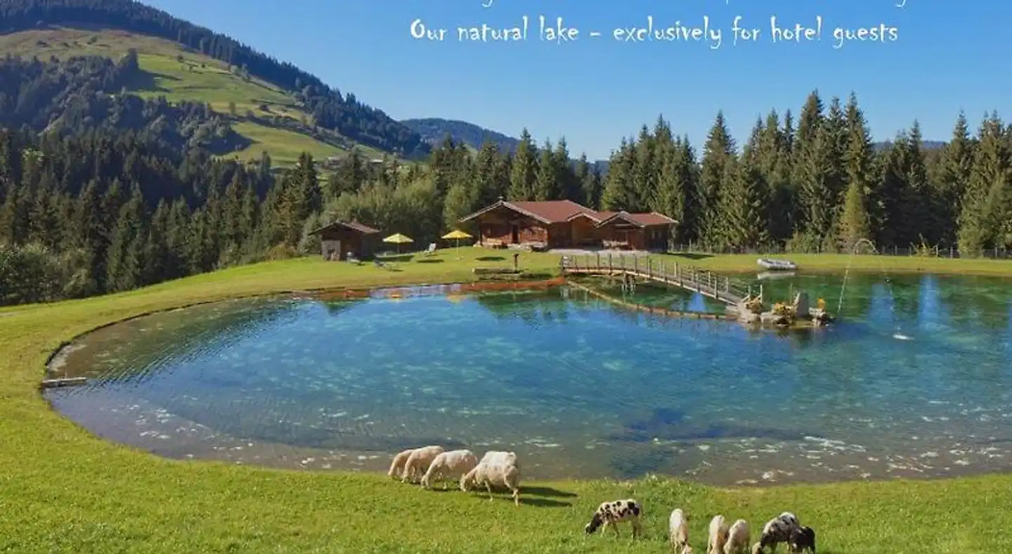 Talhof Tiere